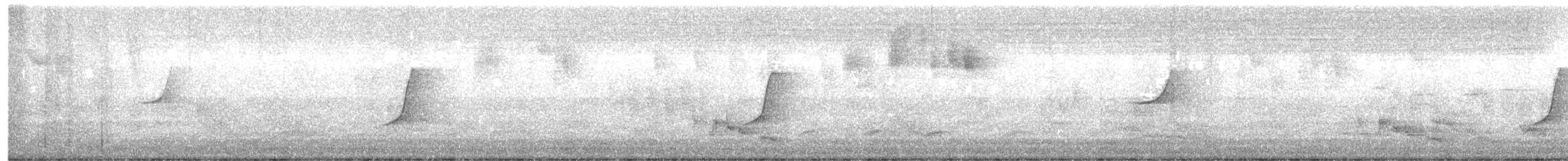 Gelbbauch-Dickkopf [pectoralis-Gruppe] - ML649107822