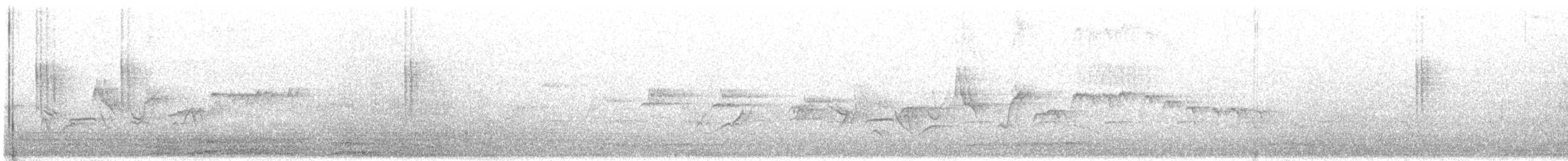 Braunschnäpper (dauurica) - ML649107944