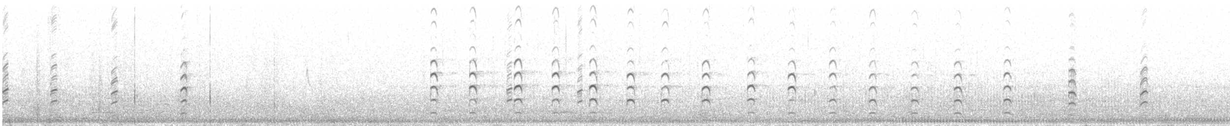 Stelzenläufer - ML649107967