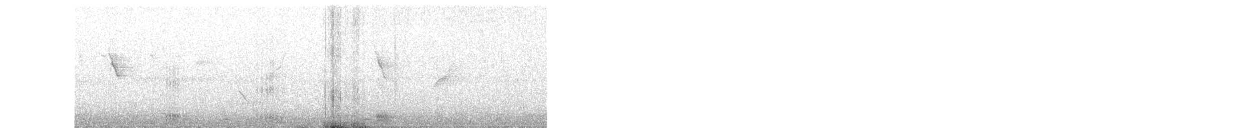 Ardeola, unbestimmt - ML649108048