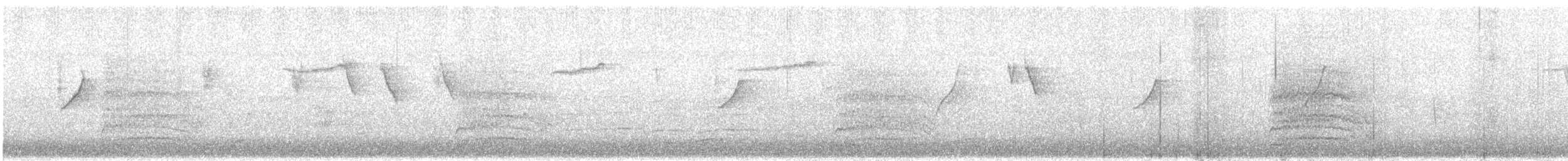 Schwarznackenpirol (diffusus) - ML649108055