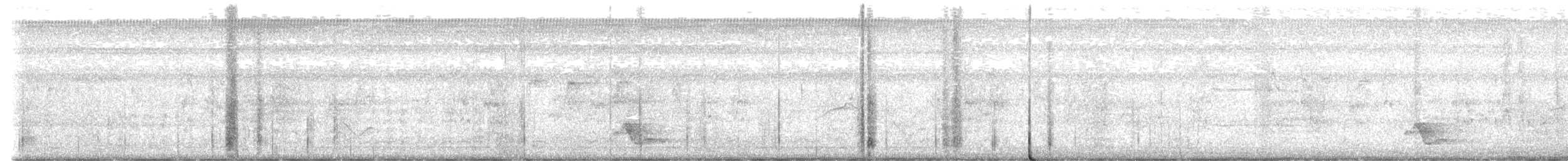Weißohr-Zaunkönig - ML649108150