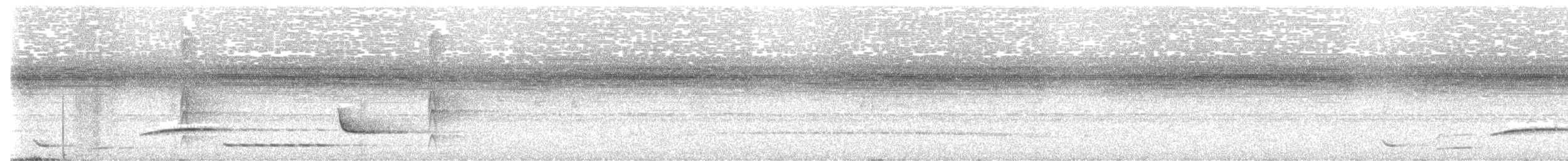 Antioquia Wren - ML649108894