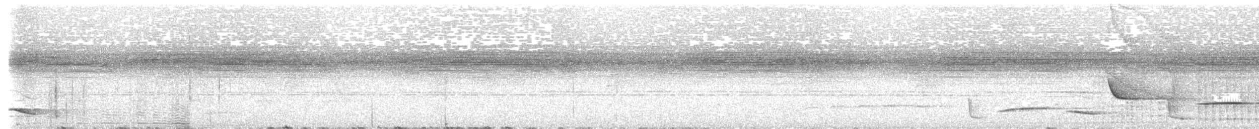 Antioquia Wren - ML649108895