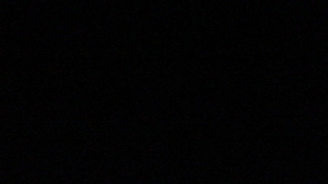 Great Horned Owl - ML649109471