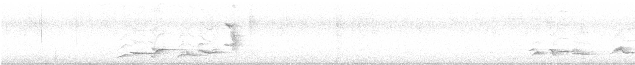 Merle noir - ML649111486