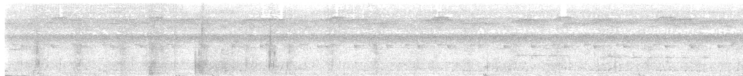 Чёрный какаду - ML649112452