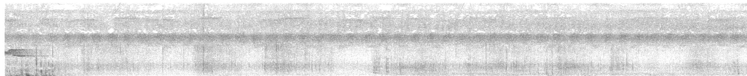 Чёрный какаду - ML649112453