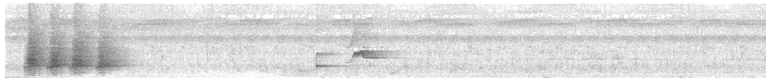 Чёрный какаду - ML649112454