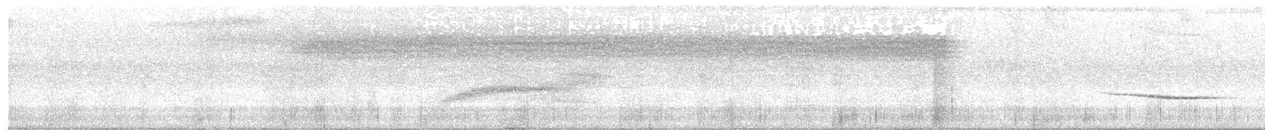 Белолицая дриопа - ML649112625