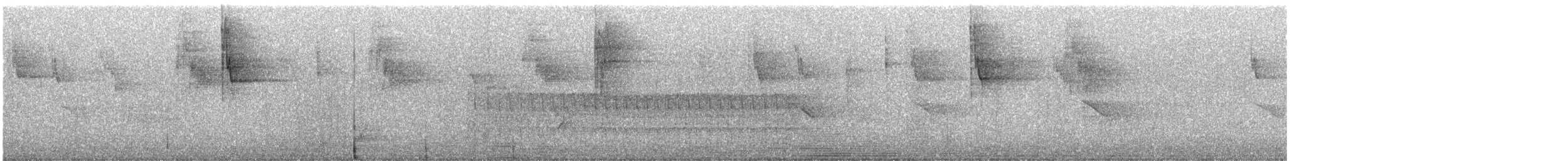 strakapoud americký - ML649113674