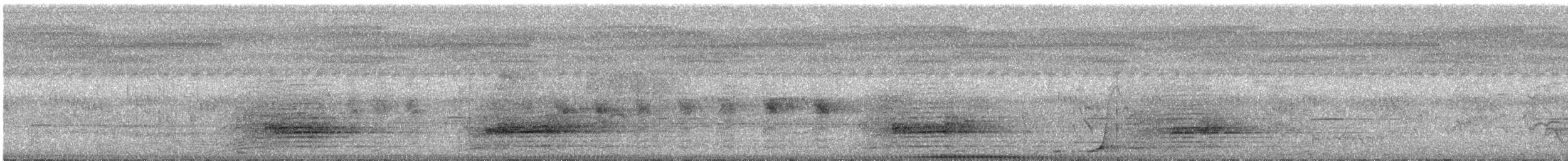 Drongo pailleté - ML649114438