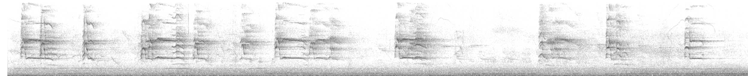 Calao de Gingi - ML649114787