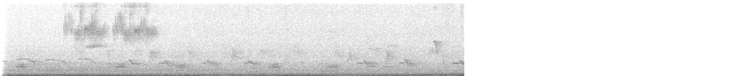 Common Raven - ML649117215