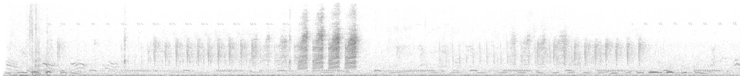 sýkora černá - ML649123413