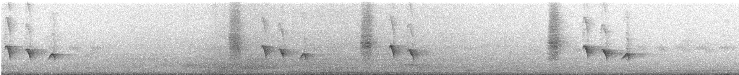 drongo kouřový - ML649124414