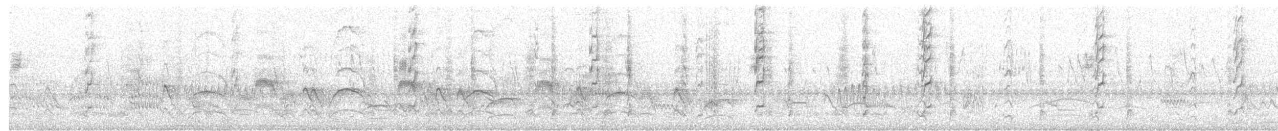 datel kaktusový - ML649125118