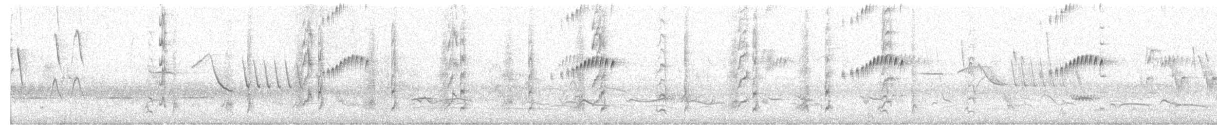 datel kaktusový - ML649125199