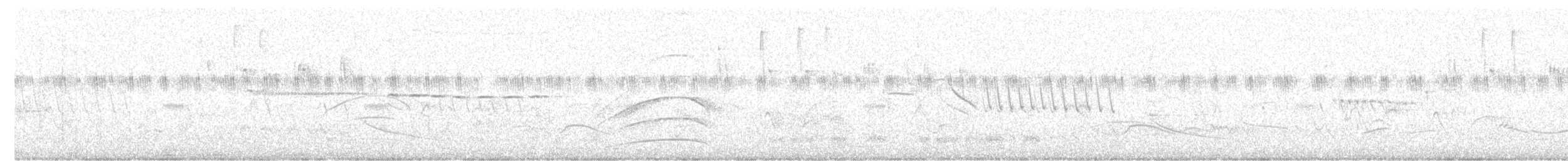 Checkered Woodpecker - ML649126140