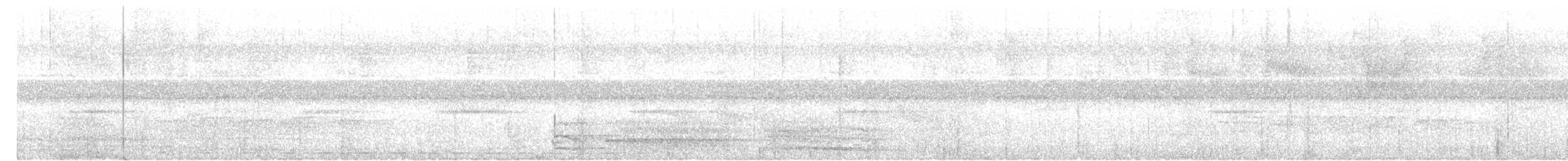 White-eared Brown-Dove - ML649126163