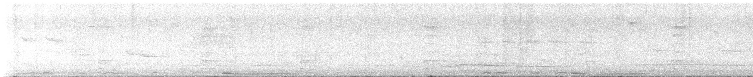 White-crowned Pigeon - ML649126181