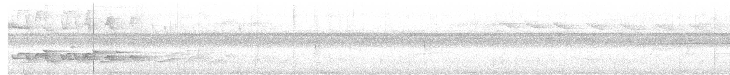 Black-faced Coucal - ML649126219