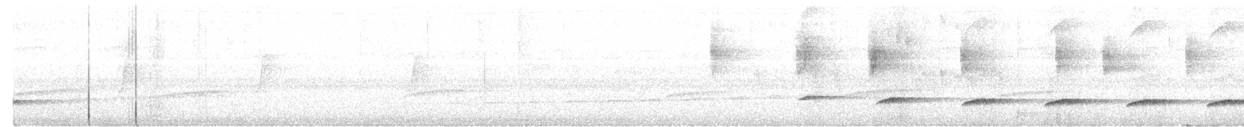 Sunda Brush Cuckoo - ML649126292