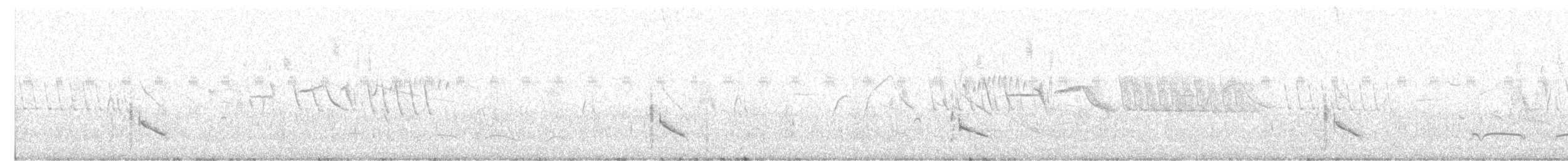 Large Elaenia - ML649126338