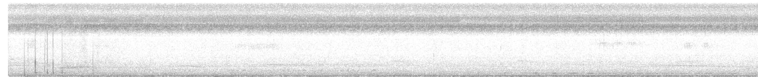 White-eared Brown-Dove - ML649126964