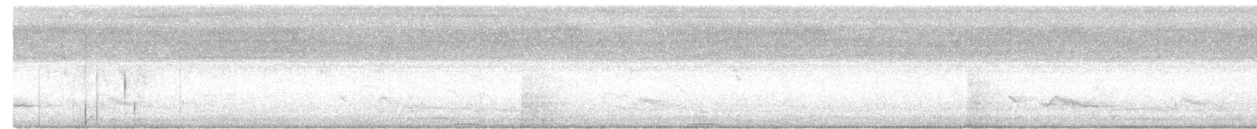 Black-chinned Fruit-Dove - ML649126993