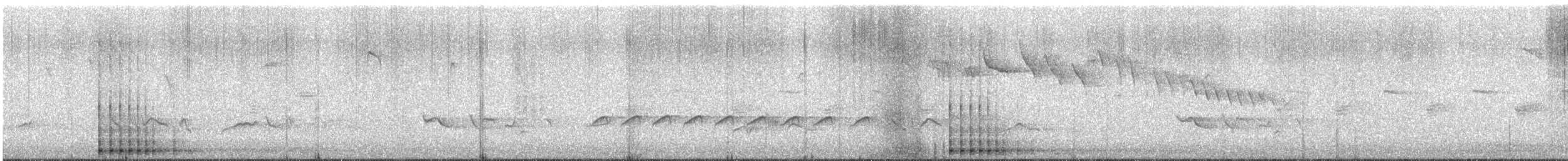 Picchio rosso maggiore - ML649127105