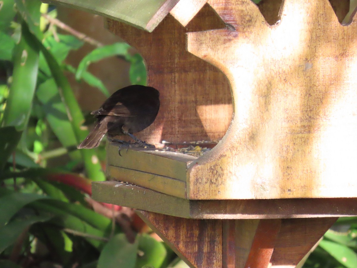 Вашер синій - ML649129570