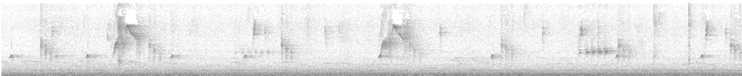 Schwalbenorganist - ML649134597