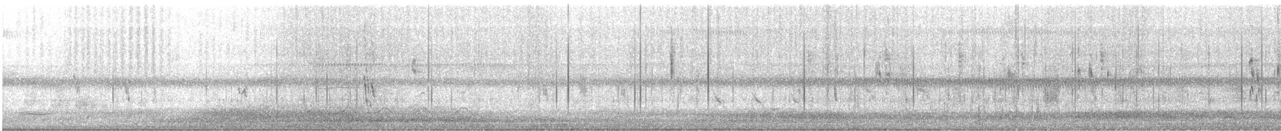 vlaštovka stromová - ML649135230