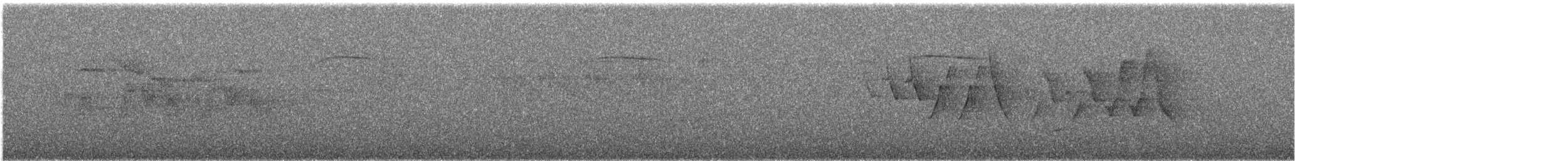 brkoslav americký - ML649136028