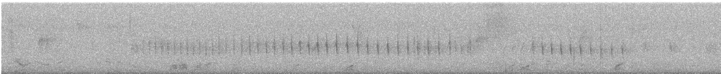 White-tailed Nuthatch - ML649138181