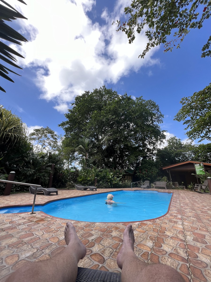 Saltator des grands-bois - ML649139771