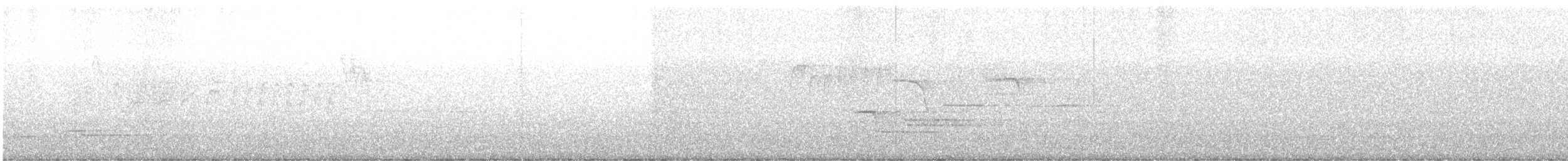 Каролинская гаичка - ML649140966