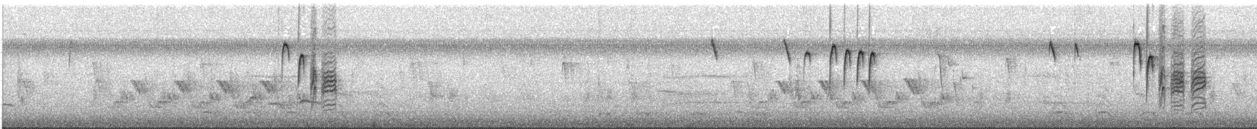 Каролинская гаичка - ML649144303