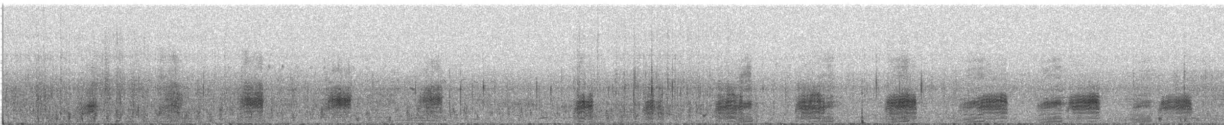 綠頭鴨 - ML649148293