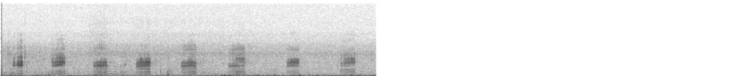 綠頭鴨 - ML649148296