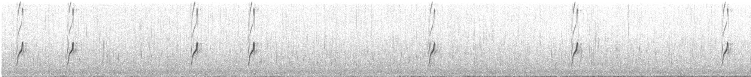 Chorlitejo Piquituerto - ML649148657