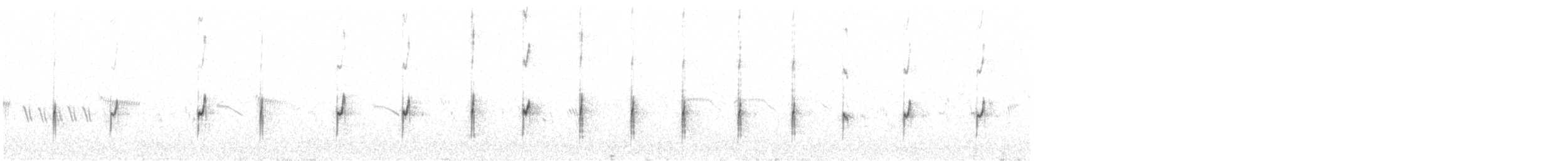 Chorlitejo Bicinchado - ML649148679
