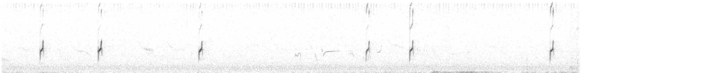 Chorlitejo Bicinchado - ML649148680