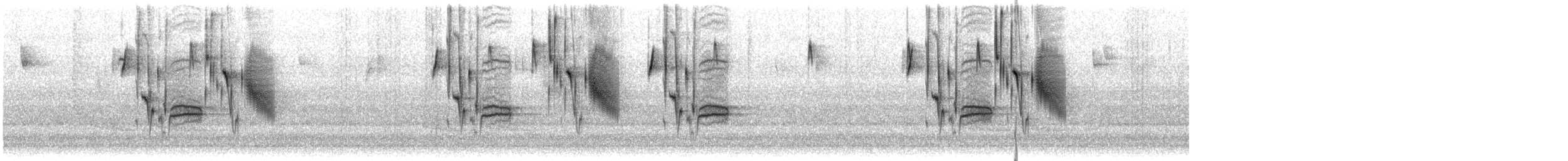 Каролинская гаичка - ML649149027