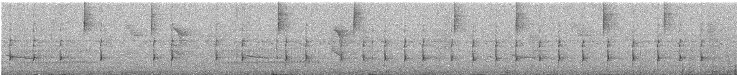 Eared Pygmy-Tyrant - ML649161470