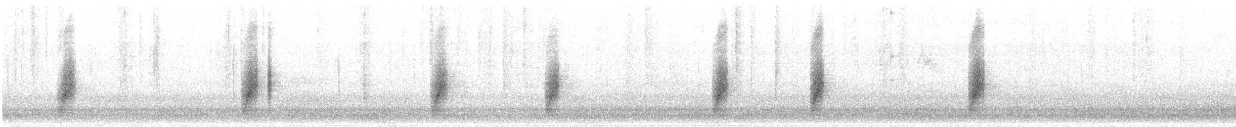Boucard's Wren