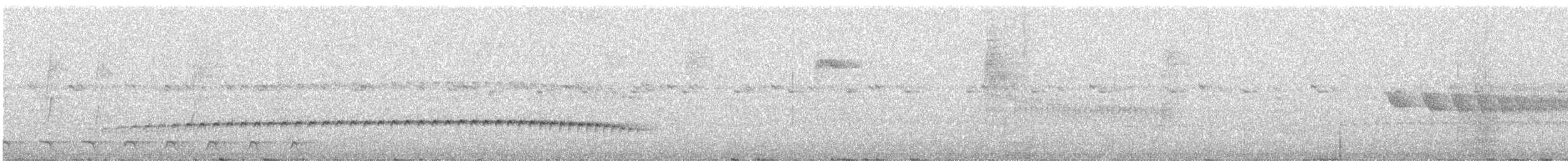 Spot-backed Antshrike - ML649163375