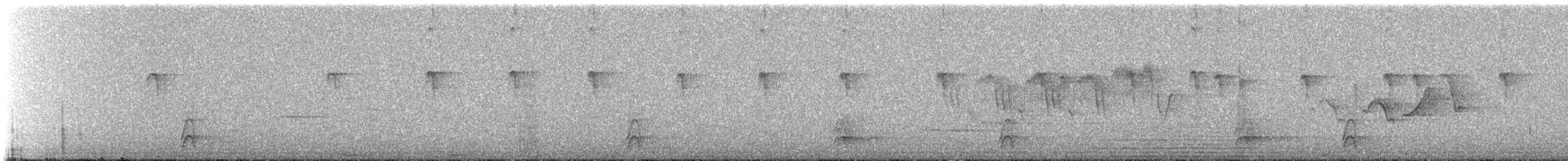 American Robin - ML649165231