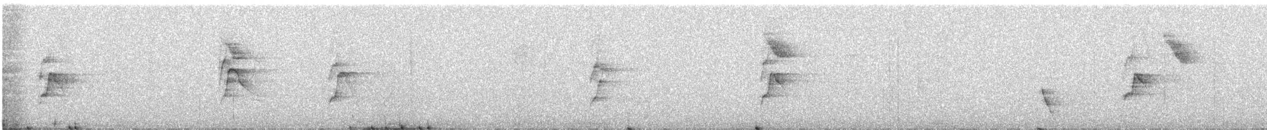 Social Flycatcher - ML649166249